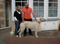 unser bis dato größter "Gästehund" :-)! - Bild 8: barrierefreie kinder- und hundefreundliche Ferienwohnung****im EG in Lubmin
