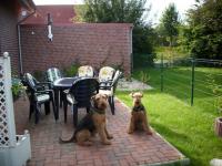 Bild 8: 5-Sterne-Ferienwohnung bis 6 Pers.mit Hund in Ostfriesland,Nordsee