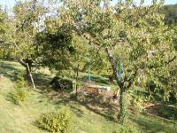 Garten
über 20 Obstbäume wie
Apfel
Kirschen
Birnen
Mirabellen - Bild 5: Ferienwohnung "Am Jakobusweg" in Bamberg