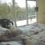 Galeriebild 2