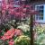 Galeriebild 2