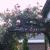 Galeriebild 5