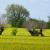 Galeriebild 2