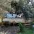 Galeriebild 5
