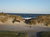 Ostseeurlaub im Ferienappartement Carpe Diem