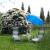 Galeriebild 2