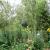 Galeriebild 2