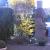 Galeriebild 5